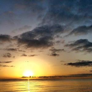 失去过便不想再次去爱