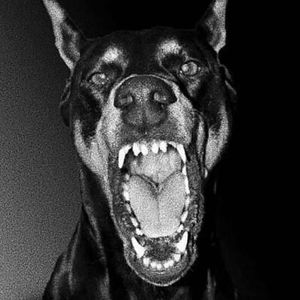 [FREE] ''Ja Morant'' 孟菲斯 x Sasi Type Beat