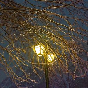 背篓少年（Cover TCG尹妹）