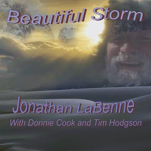 Beautiful Storm (feat. Donnie Cook & Tim Hodgson)