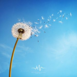 记住妈妈的话 (吉他)