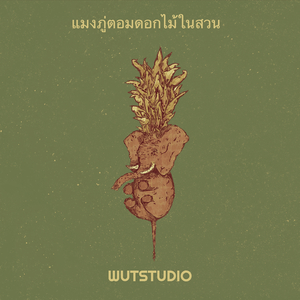 แมงภู่ตอมดอกไม้ในสวน