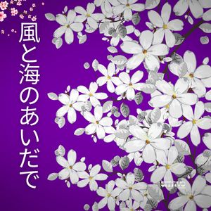 風と海のあいだで