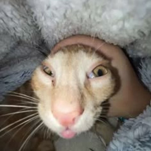 if we have each other