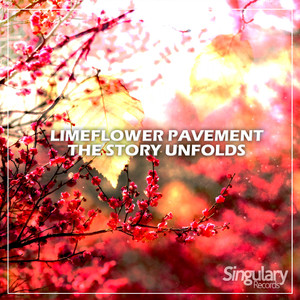 Solflower (Original Mix)