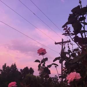 ''Young'' - The Kid LAROI Type Beat