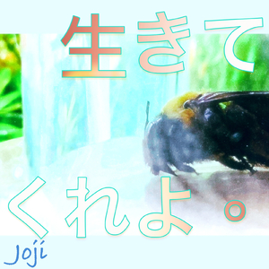 生きてくれよ。