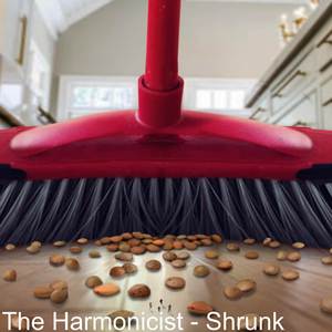 Shrunk (from "Honey, I Shrunk the Kids") (harmonica version)