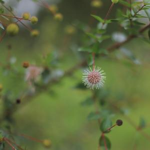 每个人都需要拥抱（Everybody needs a hug）(Demo)