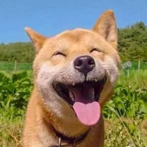 有缘 江湖再见！