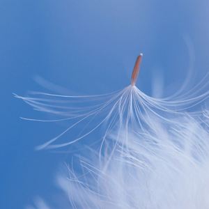 《只是已惘然》男歌 抒情 民谣