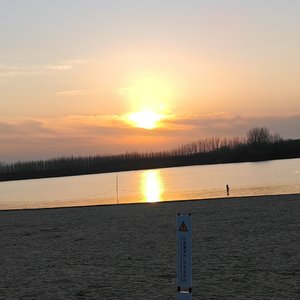 你是我所有难题的唯一