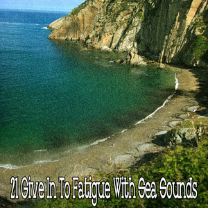 來自海洋的智慧