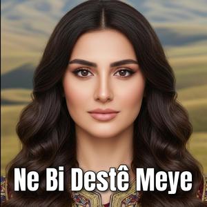 Ne Bi Destê Meye
