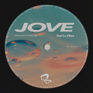 Feel La Vibra