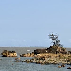 离别之殇与往昔回忆