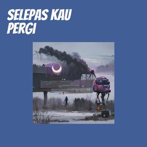 Selepas Kau Pergi
