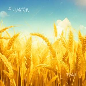 金色麦浪
