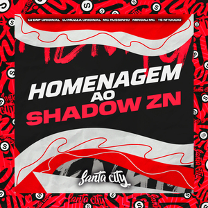 Homenagem ao Shadow Zn