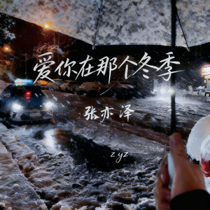 爱你在那个冬季