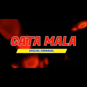 Gata Mala (feat. Kevin ZH) (Version Turreo)
