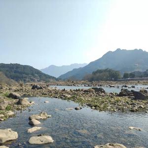 特定非