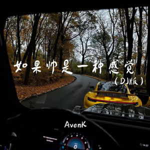 如果帅是一种感觉（DJ版）