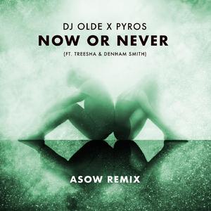 Now or Never (feat. Treesha & Denham Smith) [Asow Remix]