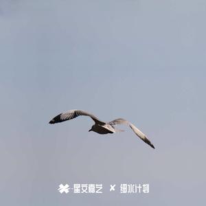 合成大码数 第六杆