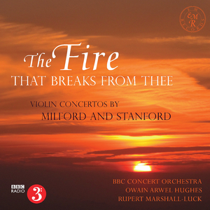 Violin Concerto No. 2 in G Minor, Op. 162 (Orch. J. Dibble):I. Allegro moderato ma con fuoco
