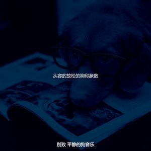 有趣睡狗情怀