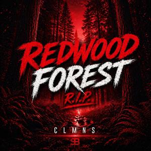 Red wood Forest