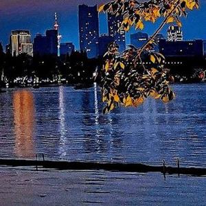 最熟悉的陌生人