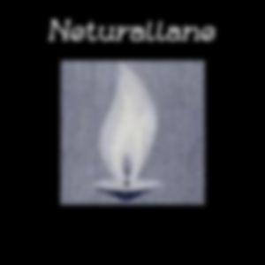 I (feat. Neturallane)