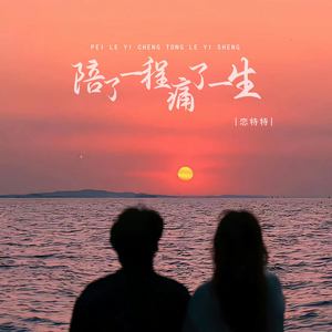 陪了一程痛了一生