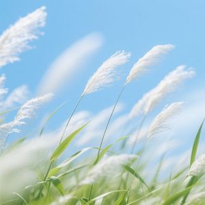 细草轻摇随意幻