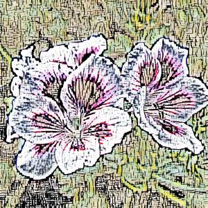 The Sock Puppet Tail