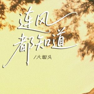 连风都知道