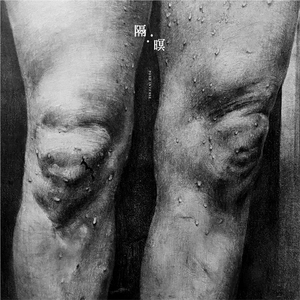 淡秋 feat. fanzlyn