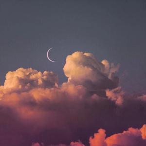 永不失联的爱（完整版）