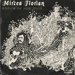 Pădure Liniștitoare