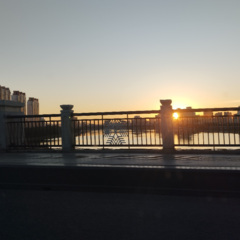 歌曲:青春向太阳