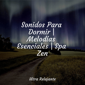 Viaje Al País De Los Sueños