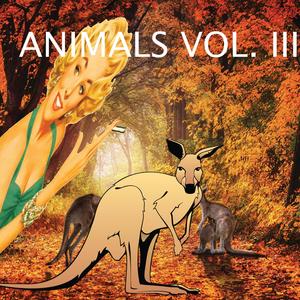 Armadillos