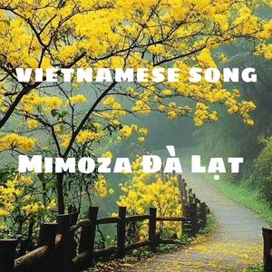 Lạc Nhau Giữa Mùa Mimosa | Trữ tình Đà Lạt