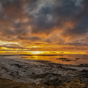 温馨画卷（放松养生钢琴曲）