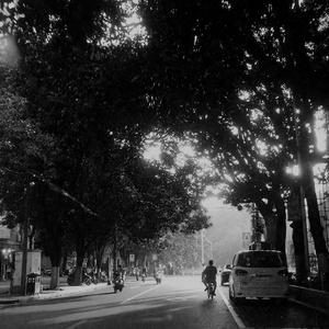 开到荼蘼（翻自 王菲）