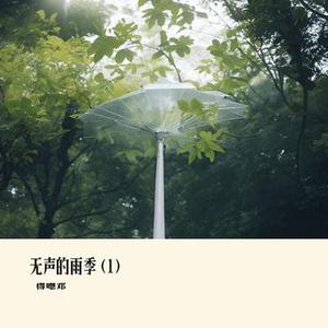 无声的雨季  (1)