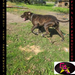 The Dog's Out (feat. Draco & Weave)