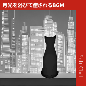 Eyelids of the Night